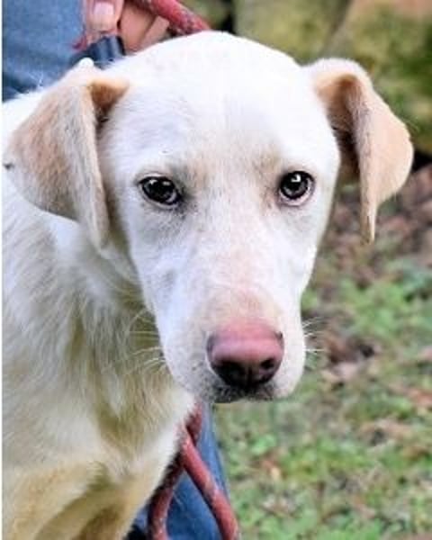 Hadrienne - einmal nur Wärme spüren