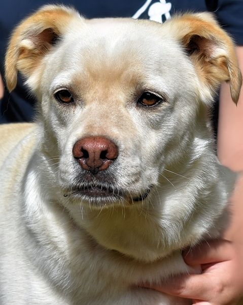 Ulbrecht - Ein kurzer Hauch von Gras