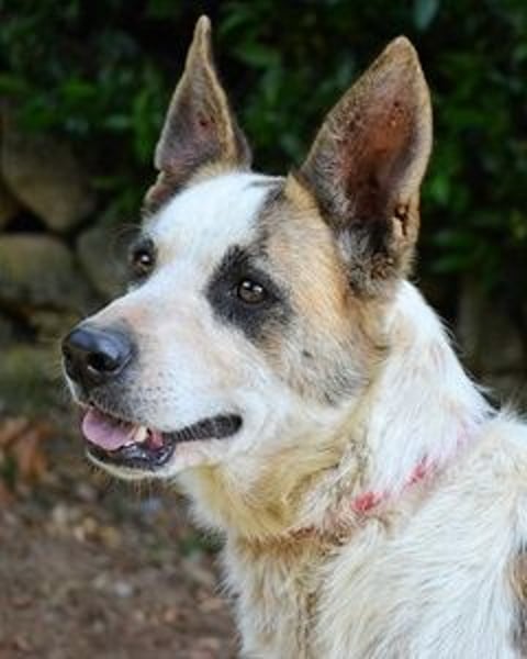 Milde - Ein Flüstern, das sagt: "Du bist sicher."