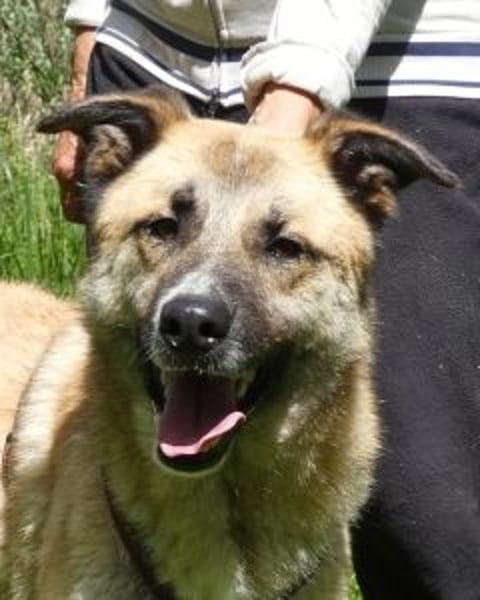 Life - Life will mehr vom Leben - und das zeigt er deutlich!