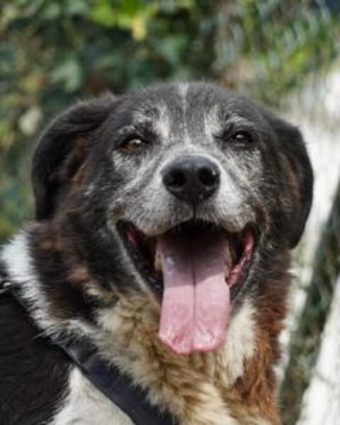 Cambiamento - lasst uns sein Leben verändern