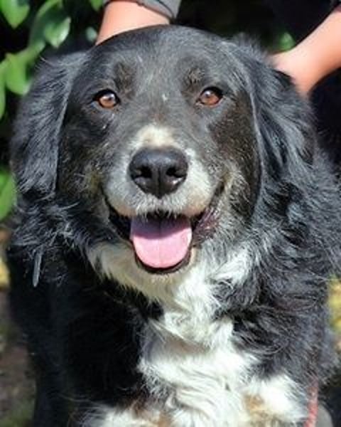 Carmine - Bereit für den Neustart