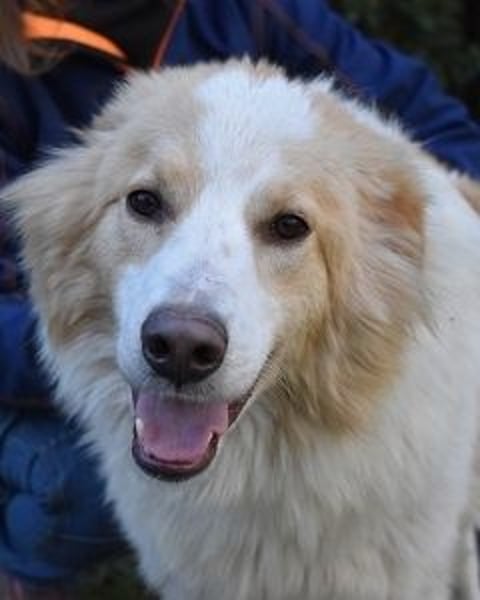 Jury - Powerpaket mit ganz viel Herz im Gepäck