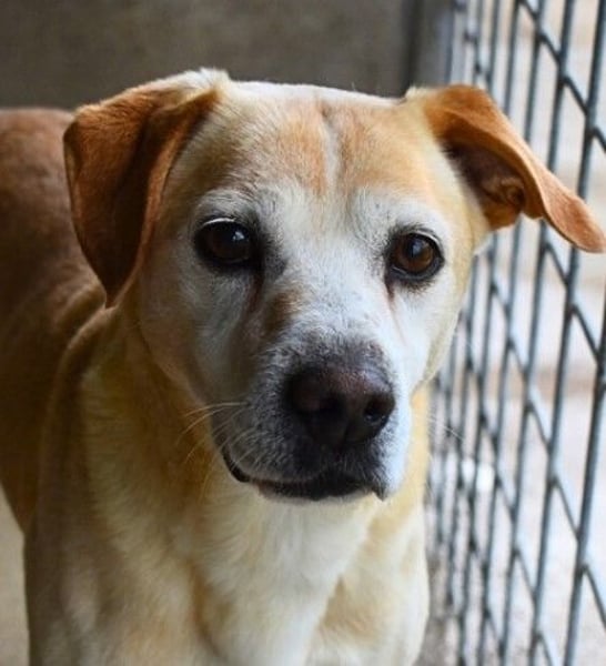 Jimmy - SOS - muss erstmal durchatmen