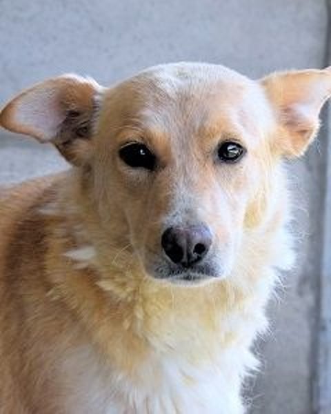 Ariana - lange sitzen sie schon da und haben es schwer