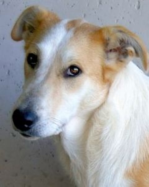 Liuba - sucht ihren Platz im Leben