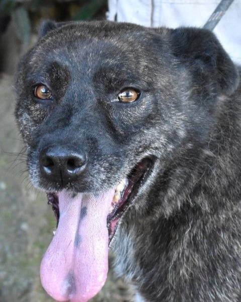 Fareeda - Wo die Schmetterlinge wohnen