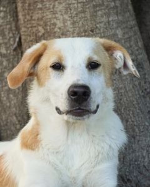 Wafer - Die leise Hoffnung, dass etwas Besseres kommt