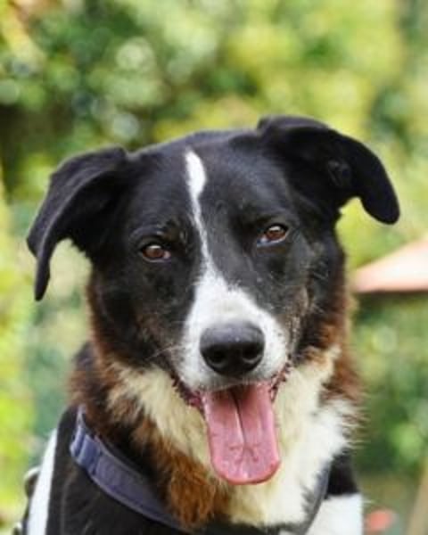 Coraggio - Schritt für Schritt ins Leben zurück