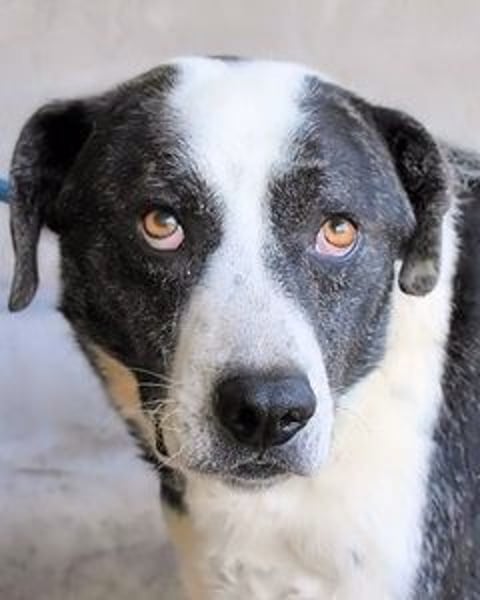 Oldrich - NIE ist einfach zu lang