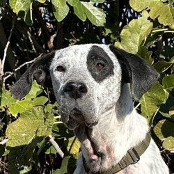 Funny-der Name ist Program