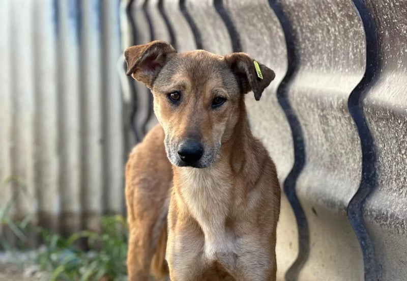 wundervolle, sanfte Janika auf der Suche nach ihren Herzensmenschen