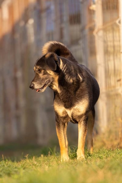 Bubulina- zurückhaltende süße Zuckermaus