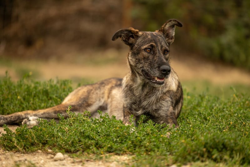 Cantabile - Sportlerin sucht aktive Menschen