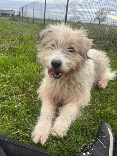 Zelda, geboren 01.06.2022, 62cm sucht ihr Glück