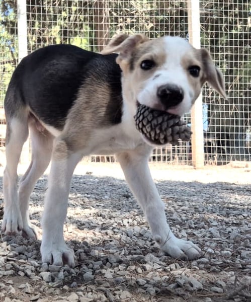 ZEUS – trägt einen großen Namen