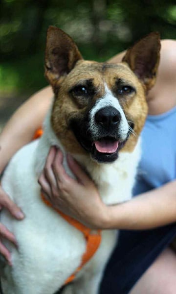 Freundliche Jenny sucht ihre Familie