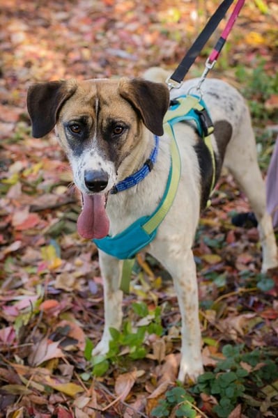 NADA - ich träume von einer lieben Familie, in der ich geliebt, umsorgt und geachtet werde