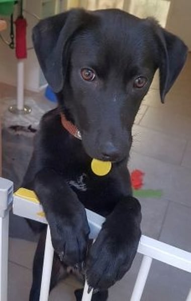 Eroica - TOP-Youngster: wissbegierig, lernwillig, jung