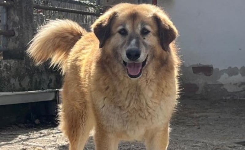 Penny- springt mit Dir ins Abenteuer!