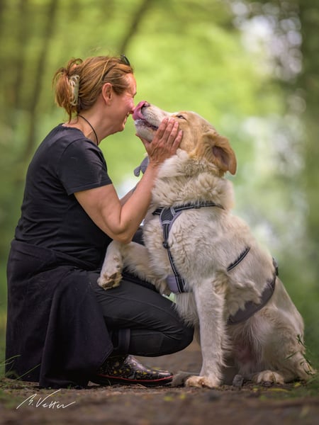 Ein cooler Typ - Attila wunderschön, stolz und selbstbewusst