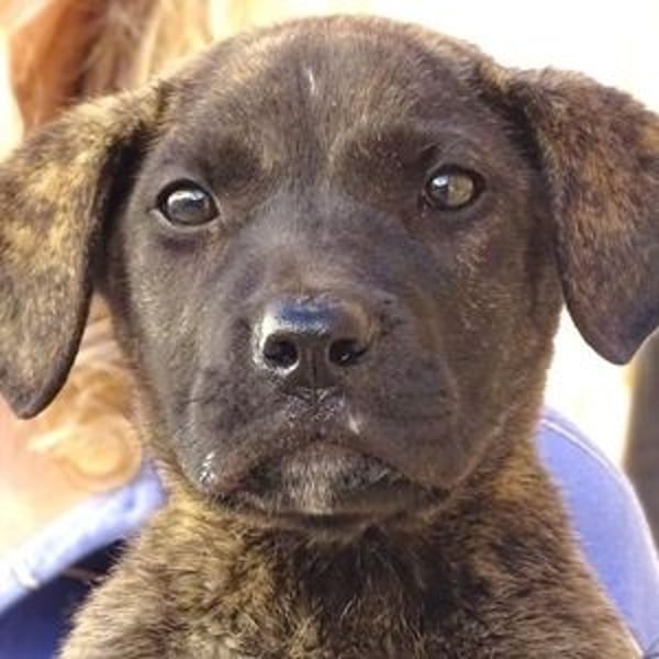 CARLOS,  sein junges Leben schon in Gefahr