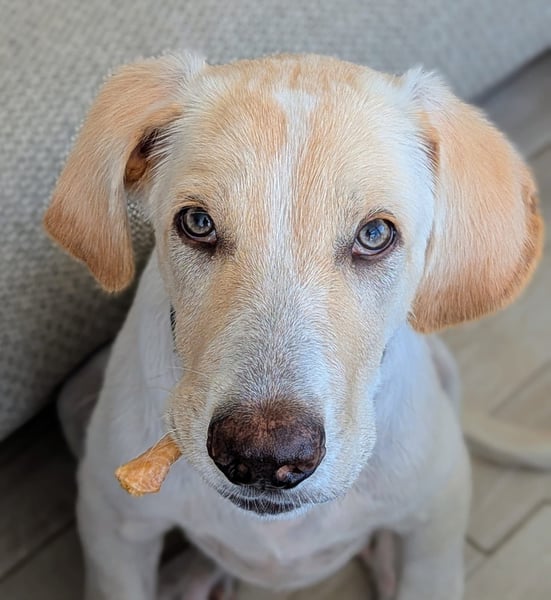 Neo wartet auf seine Familie