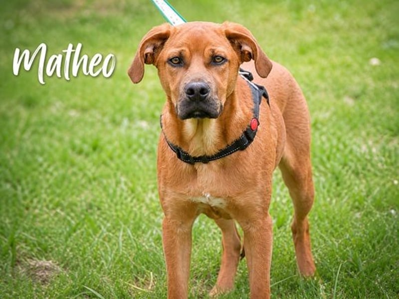 Matheo - will die Welt entdecken
