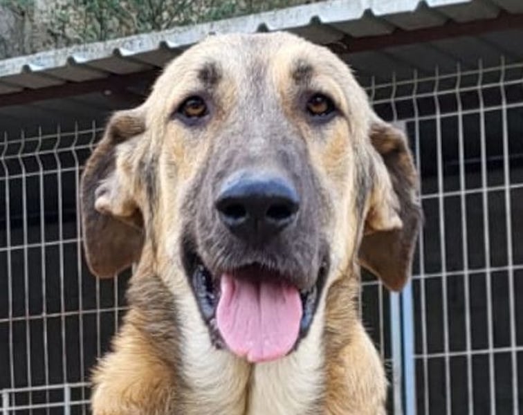 HSH-Mix Miriam ❤️ verspielt, aktiv, sucht dich!