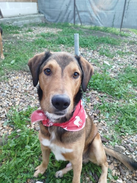 Loco - liebenswert, menschenbezogen und sozial