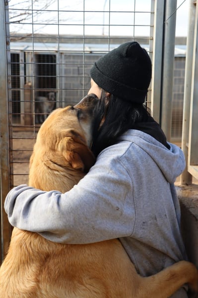 Lector(CR) ein großer bezaubernder Bube