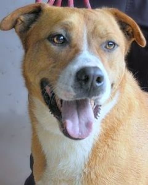 Spielberg - Der Dreh seines Lebens