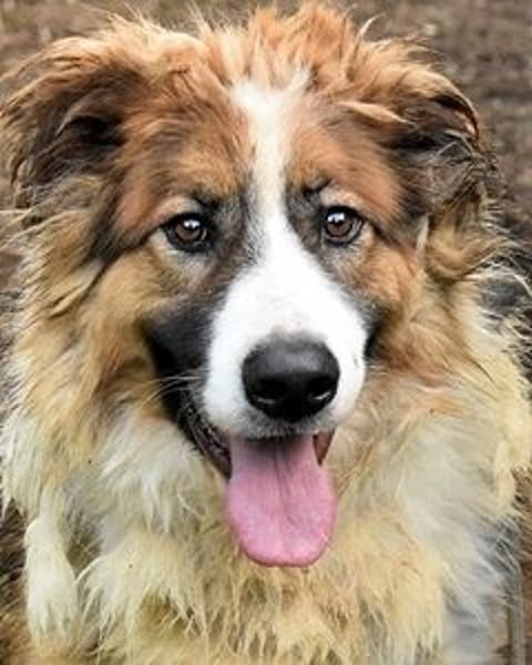 Kito - Irgendwas das bleibt