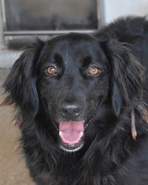 Kael - Nur ein einziges mal die Chance auf Leben