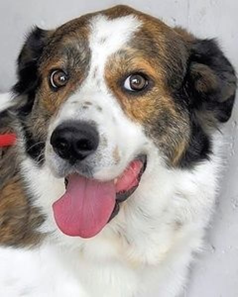 Jontar - Die Geschichte, die keiner liest