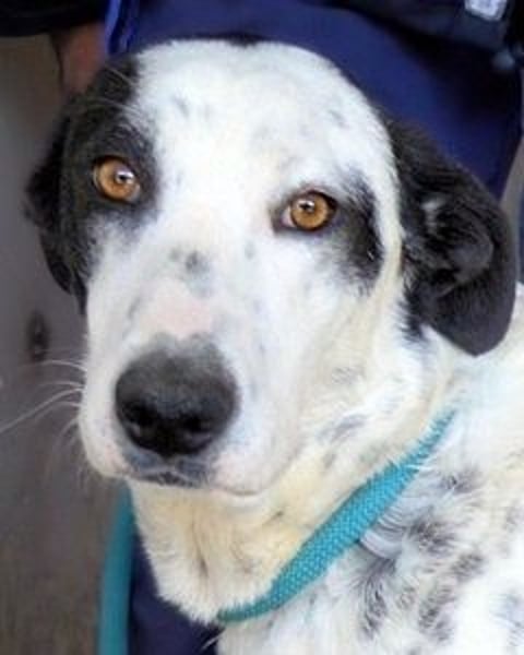 Arleene - ist voll bedingungsloser Liebe