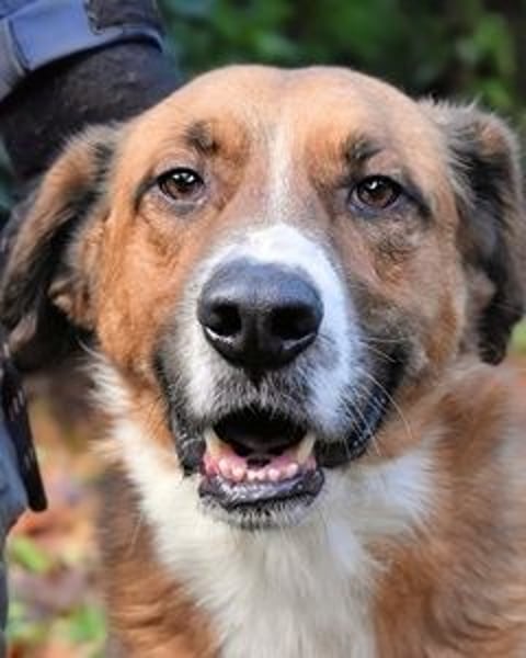 Theodore - Ein Geschenk des Himmels