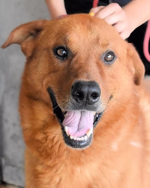 Antwin - irgendwo ist alles schön!