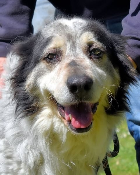 Daiana - der Beginn einer wunderbaren Freundschaft