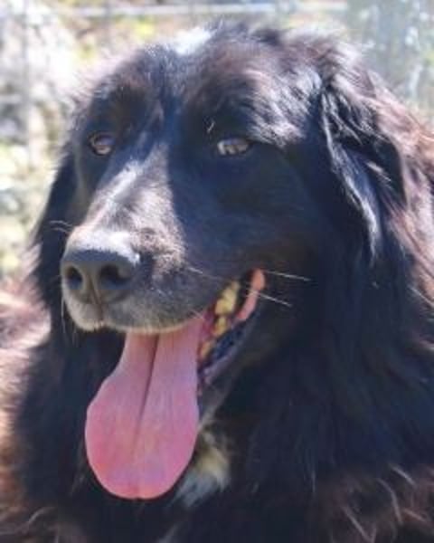 Quennel - Black velvet, oder...