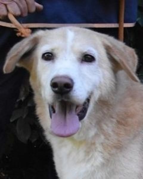 Islay - Menschenherzen-im-Sturm-Eroberer