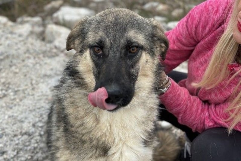 Oksana sucht ein Zuhause