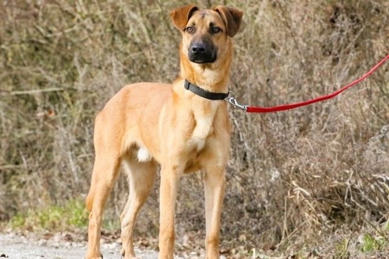 Maddox sucht Menschen, die ihm die Welt zeigen