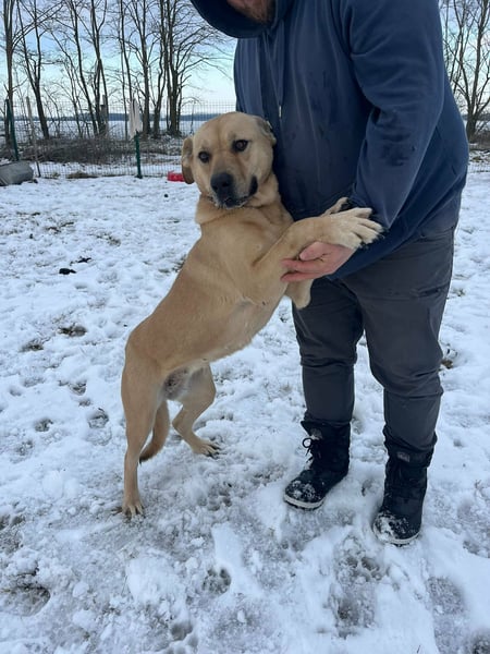 Gerda, geboren 07.07.2021, 67cm suchtn ihre Menschen