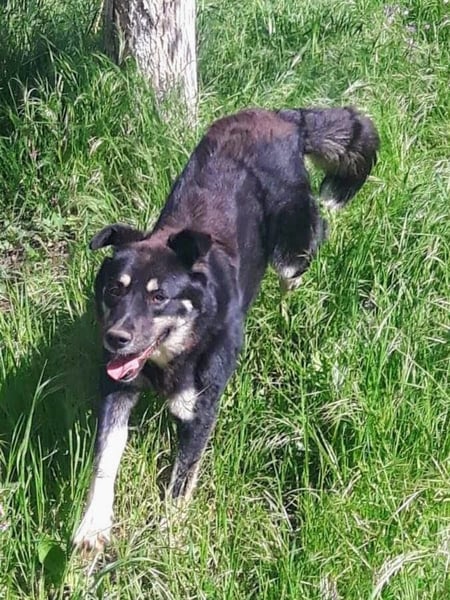 Rosie hat ein großes Herz ❤️