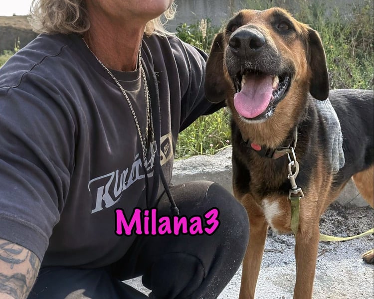 Milana3 geb. 01/2022 - menschenbezogene, freundliche und sanfte Schönheit!