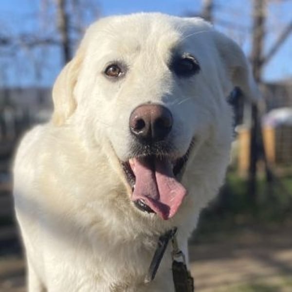 Lio - jung, hübsch sucht Anschluss