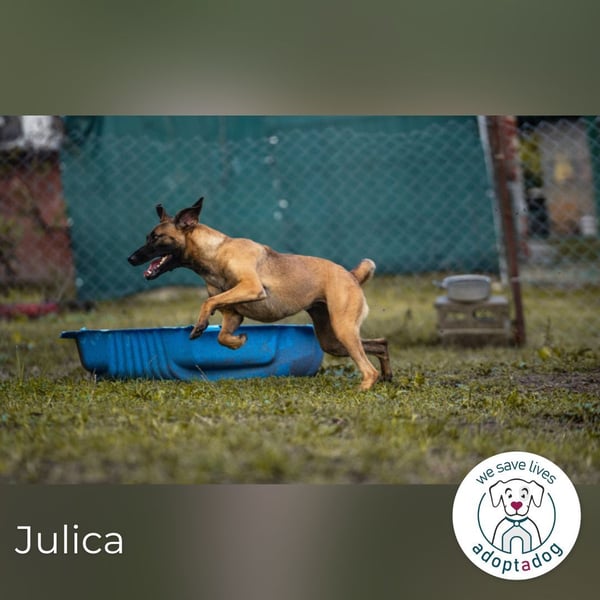Julica: Volle Kraft voraus!