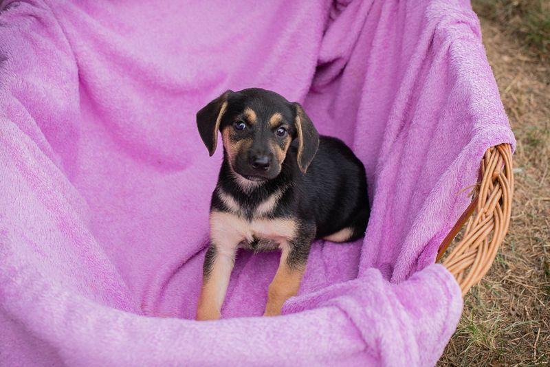 CHIP 230704 - Spielen, toben und auch was lernen.....wer hat Lust????