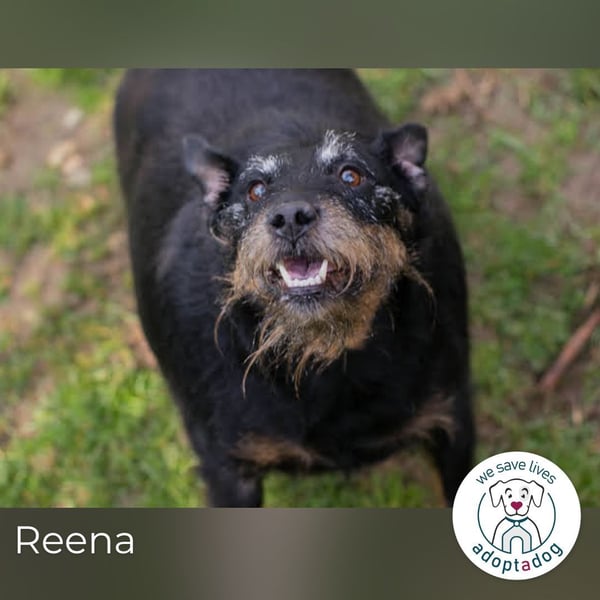 Reena: Neustart! Los geht’s!